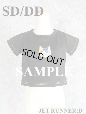 画像2: カラフルネコちゃんTシャツ（セレクトD)
