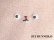 画像2: [M]うさぎかもしれないトレーナー (2)
