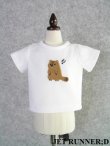 画像5: [M]マーモットTシャツ（ブルー/白）
