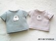 画像1: [M]ヒマラヤンTシャツ（グリーン/ピンク）